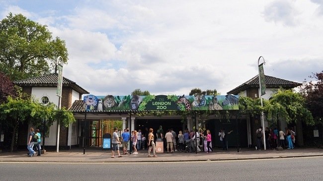 London Zoo Banner