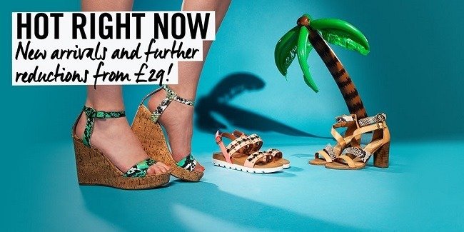 shoeaholics contact number