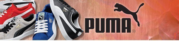 puma banner