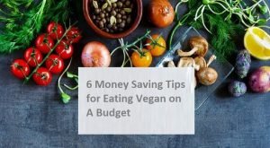 Yes, it is Possible to Eat Vegan on a Budget -6 Money Saving Tip