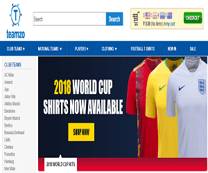 Teamzo Discount Code