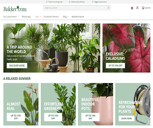 Baker Ross Discount Code