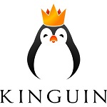 Kinguin Discount Code