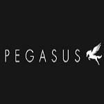 Pegasus Menswear Discount Code