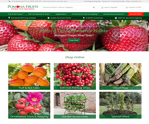 Pomona Fruits Discount Code